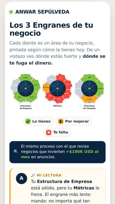 Ejemplo del mapa de 13 áreas que entrega el diagnóstico